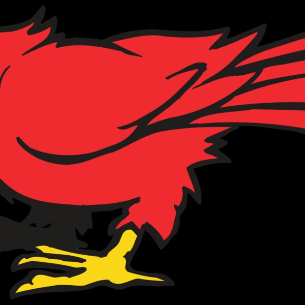 AR CARDINAL 11 RC Thumbnail