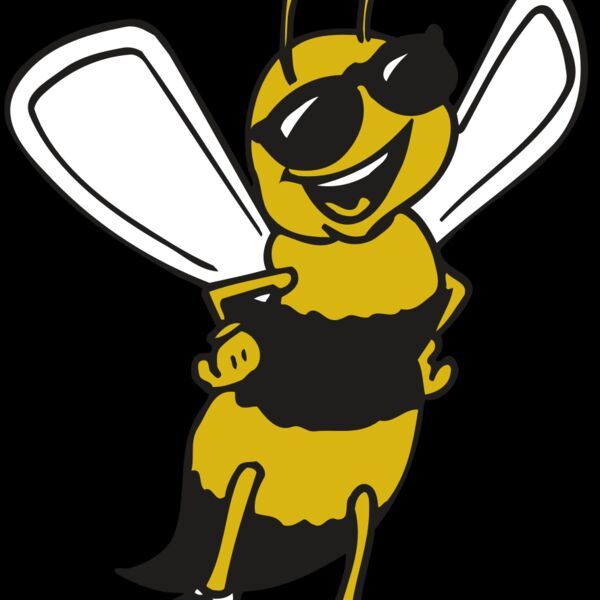 AR BEE 21 RC Thumbnail