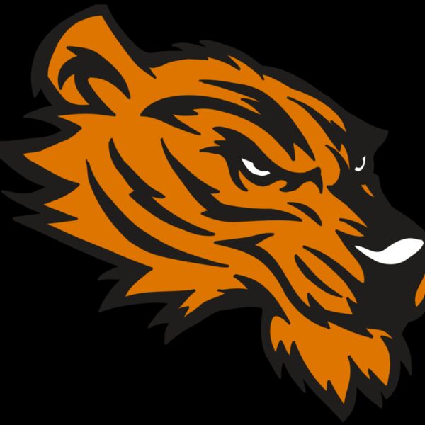 AR5 Tiger 05 RQC Thumbnail